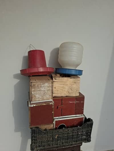 Birds Accessories FREE