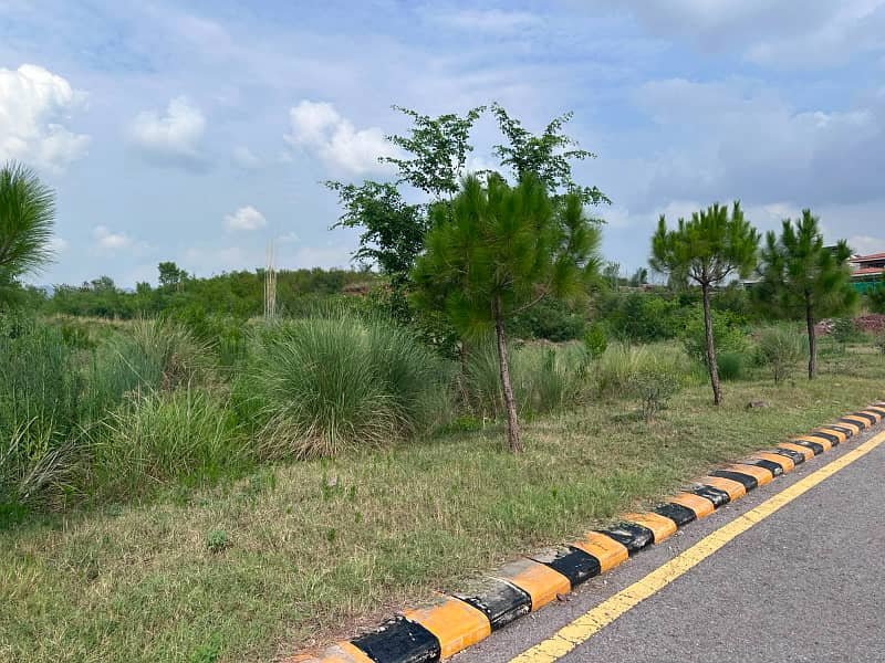 Premier Possession Plot, Ready for Immediate Construction 1