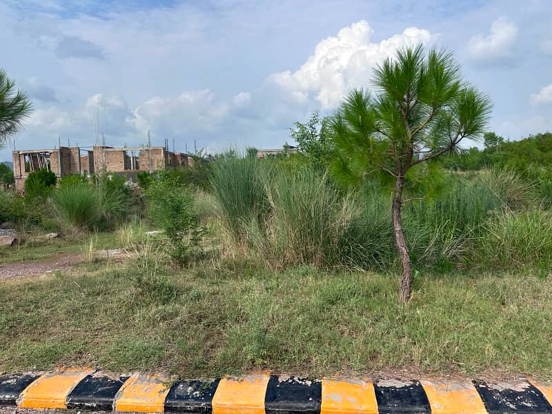 Premier Possession Plot, Ready for Immediate Construction 5