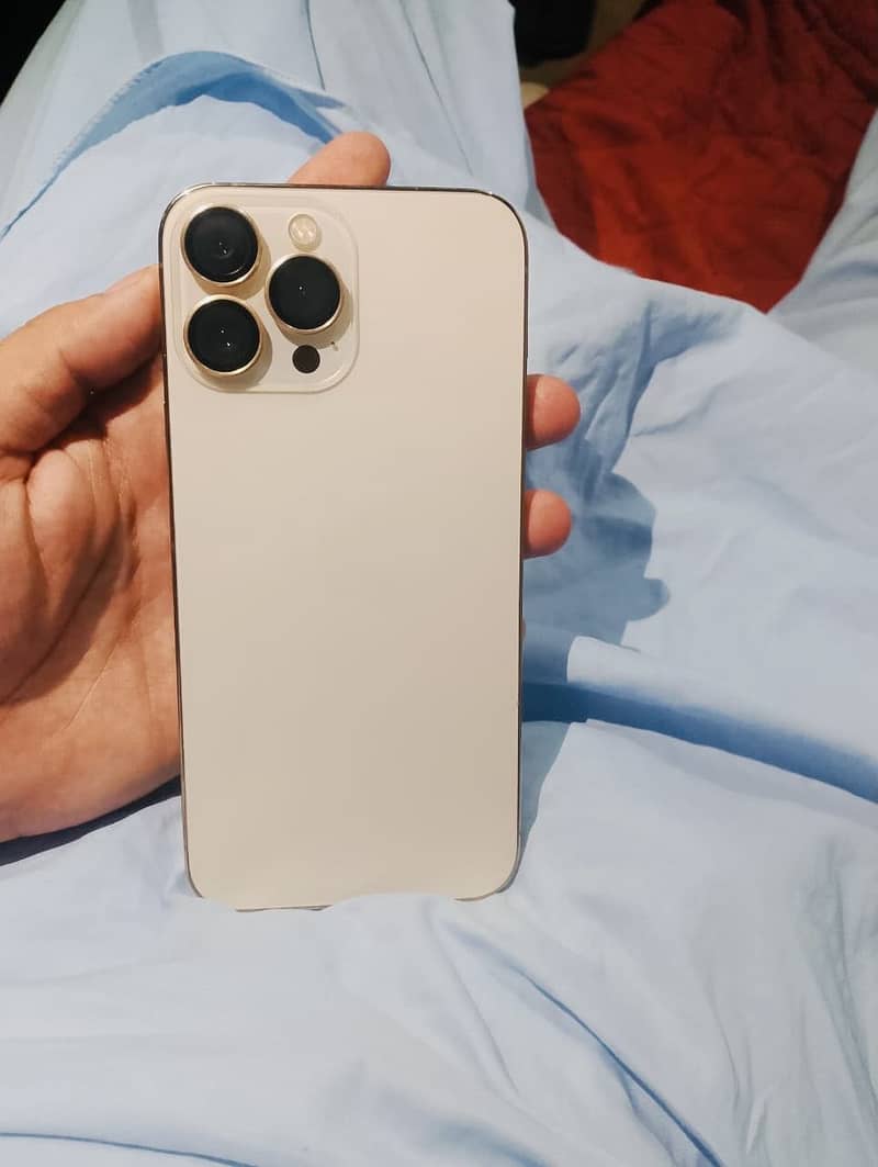 Apple iPhone 13 Pro Max 2