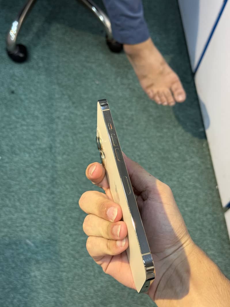 Apple iPhone 12 Pro Max 9