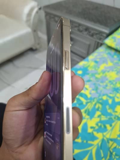 Apple iPhone 13 Pro Max 256 Gb JV 100 percent battery health