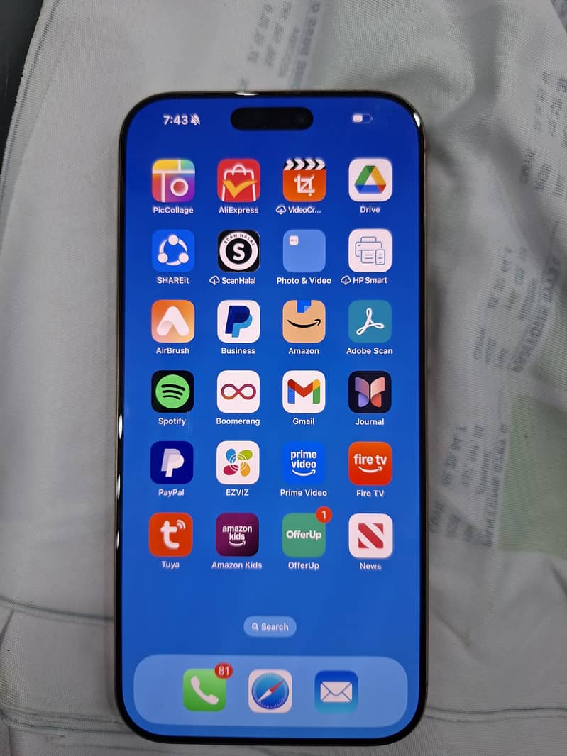Apple iPhone 16 Pro Max 1