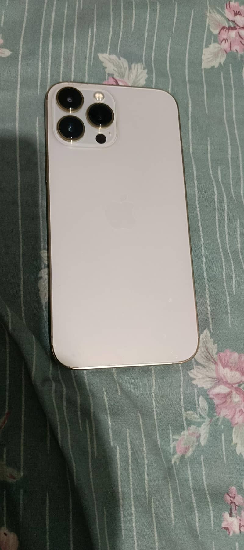 Apple iPhone 13 Pro Max 0