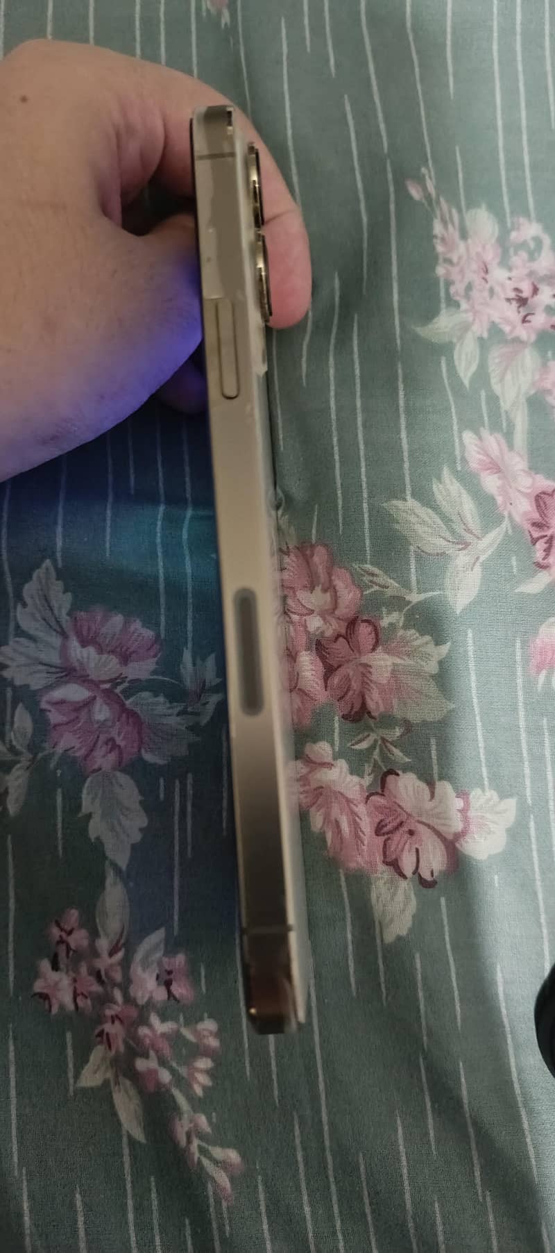 Apple iPhone 13 Pro Max 1