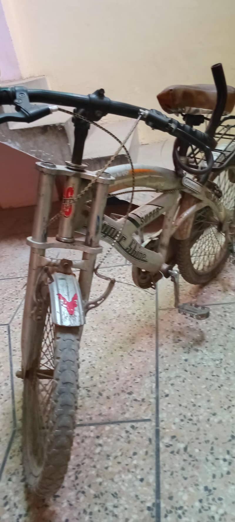 Bicycle in Good Condition 1