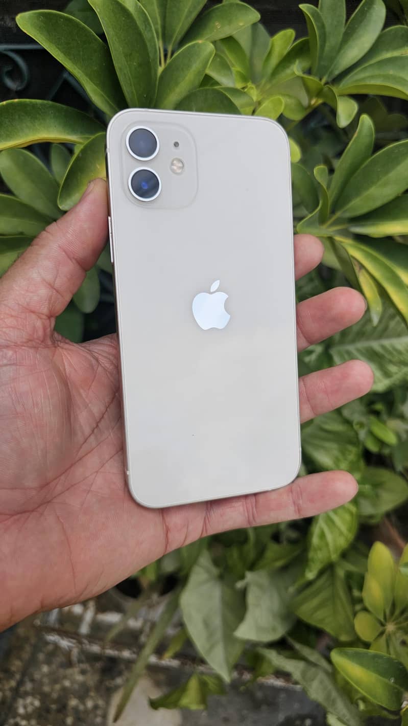 Apple iPhone 12 2