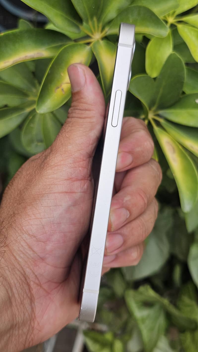 Apple iPhone 12 3