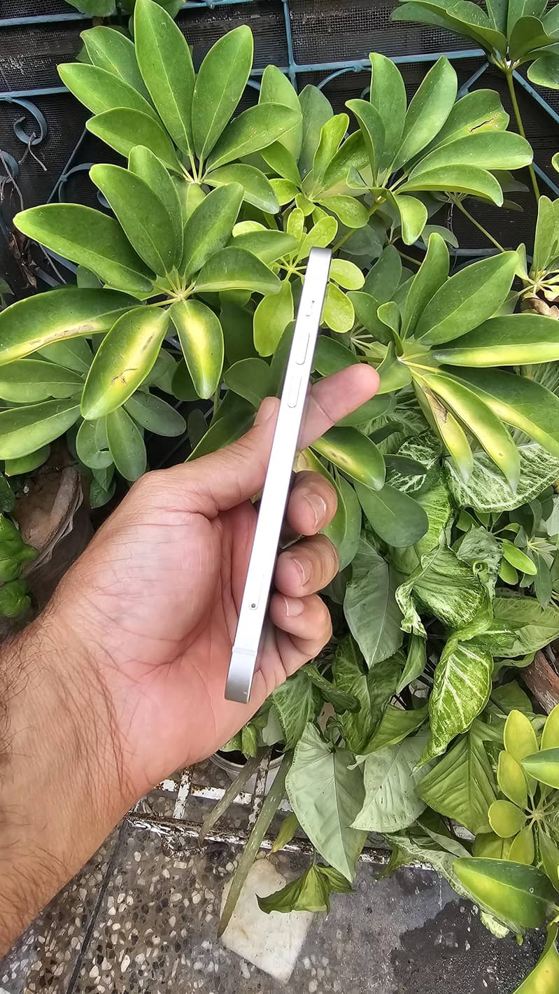 Apple iPhone 12 4