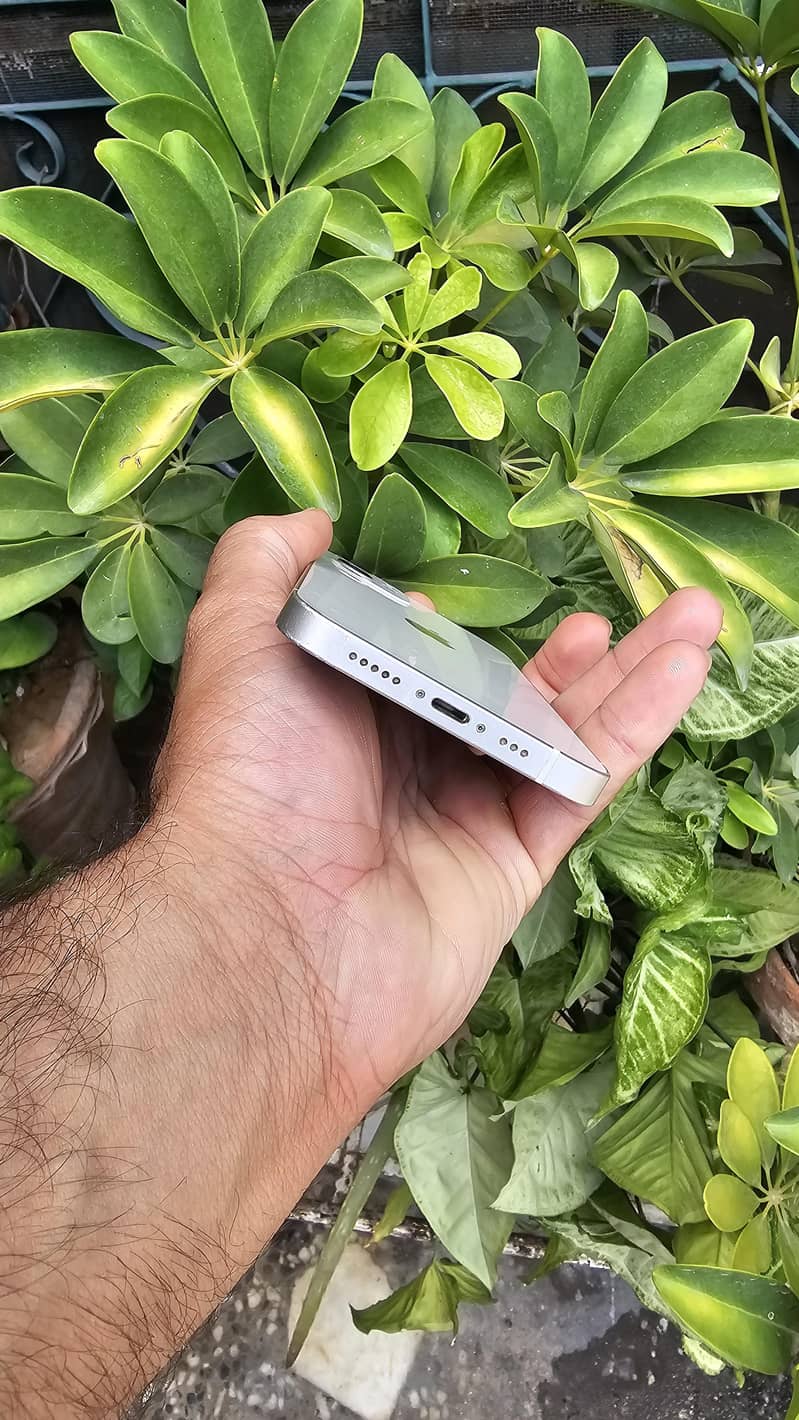 Apple iPhone 12 5