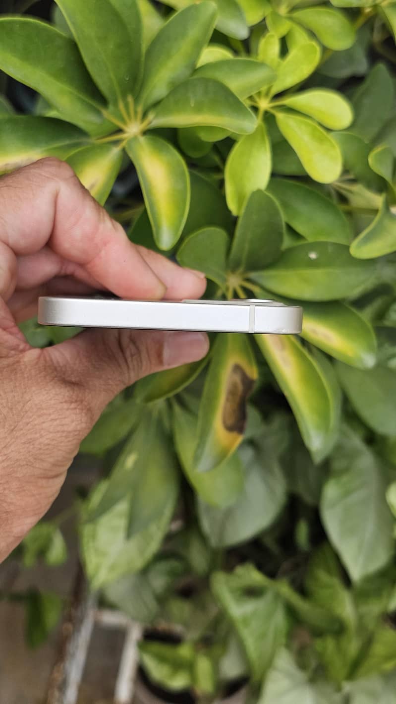 Apple iPhone 12 6
