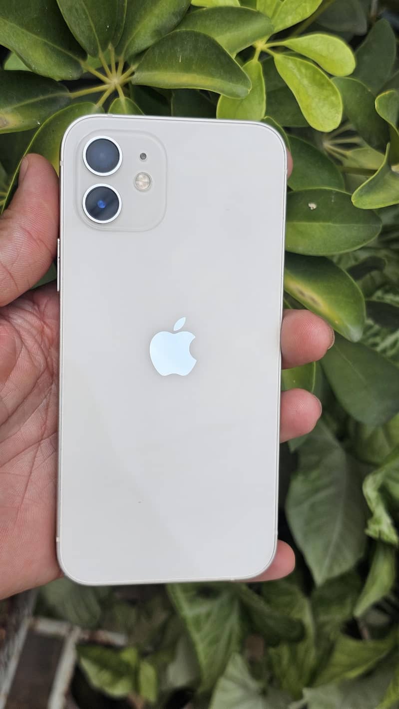 Apple iPhone 12 7