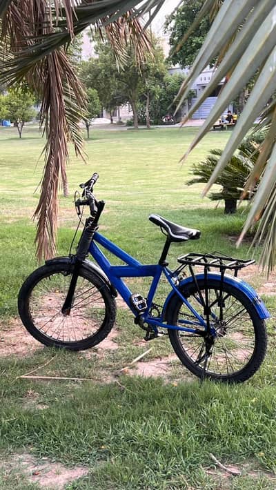 blue cycle