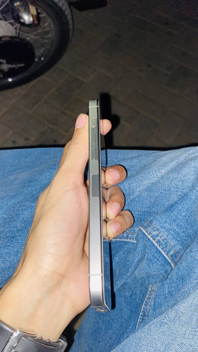 Apple iPhone 16 Pro Max 1