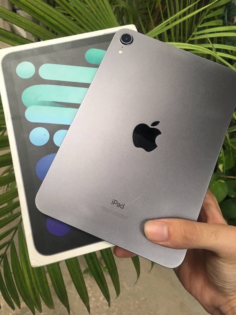 Ipad mini 6 0