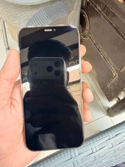 Apple iPhone 12 Pro