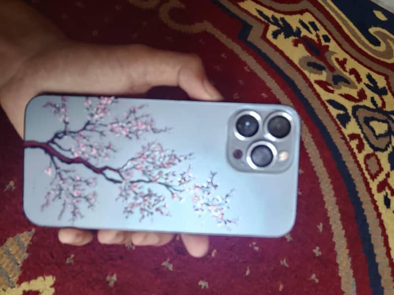 Apple iPhone 13 Pro Max 2