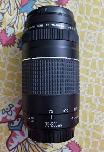 Canon EF 75-300mm f/4-5.6 III Lens