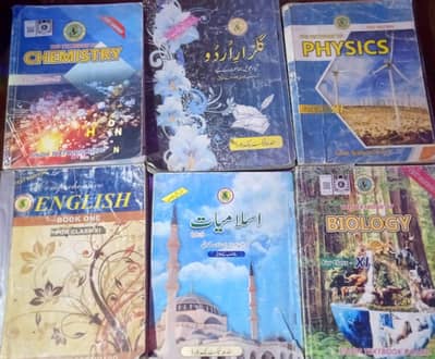 1st Year books with notes  Shindh board
