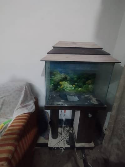 aquarium