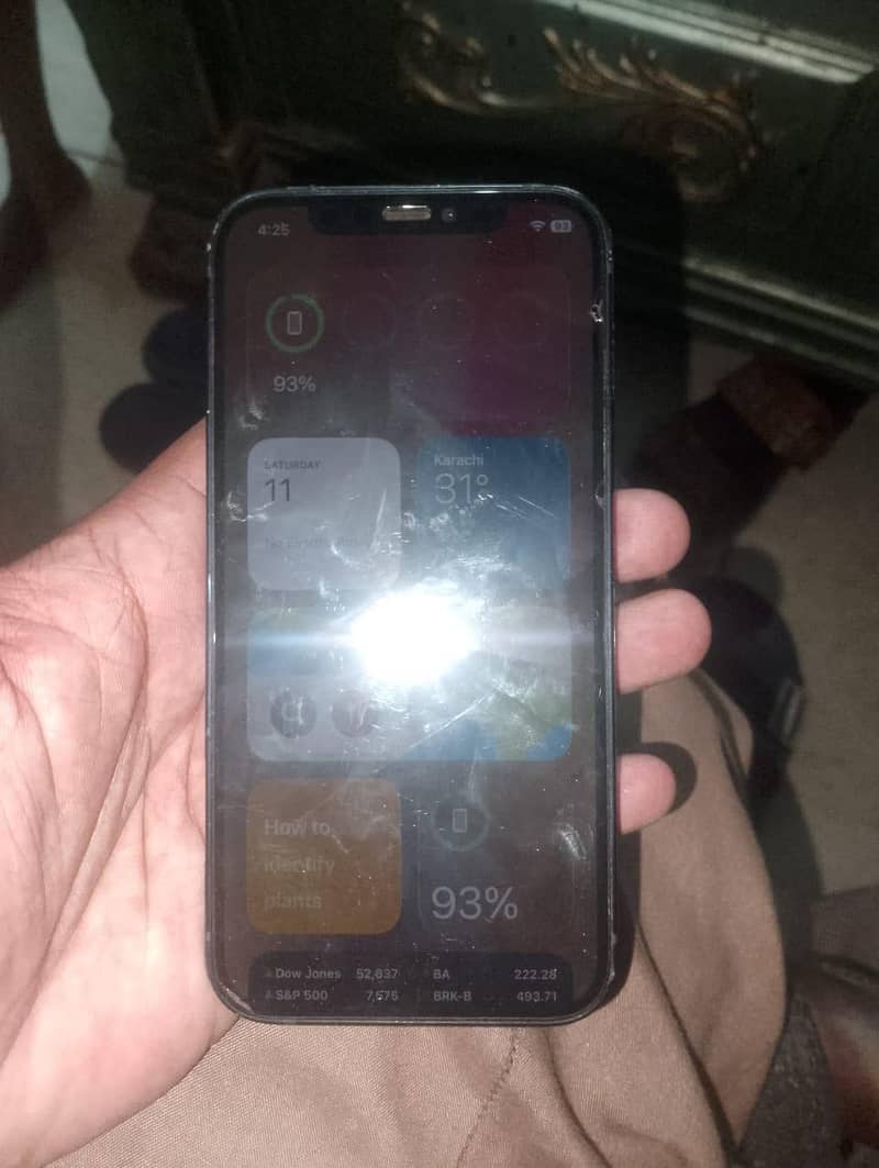 Apple iPhone 12 1