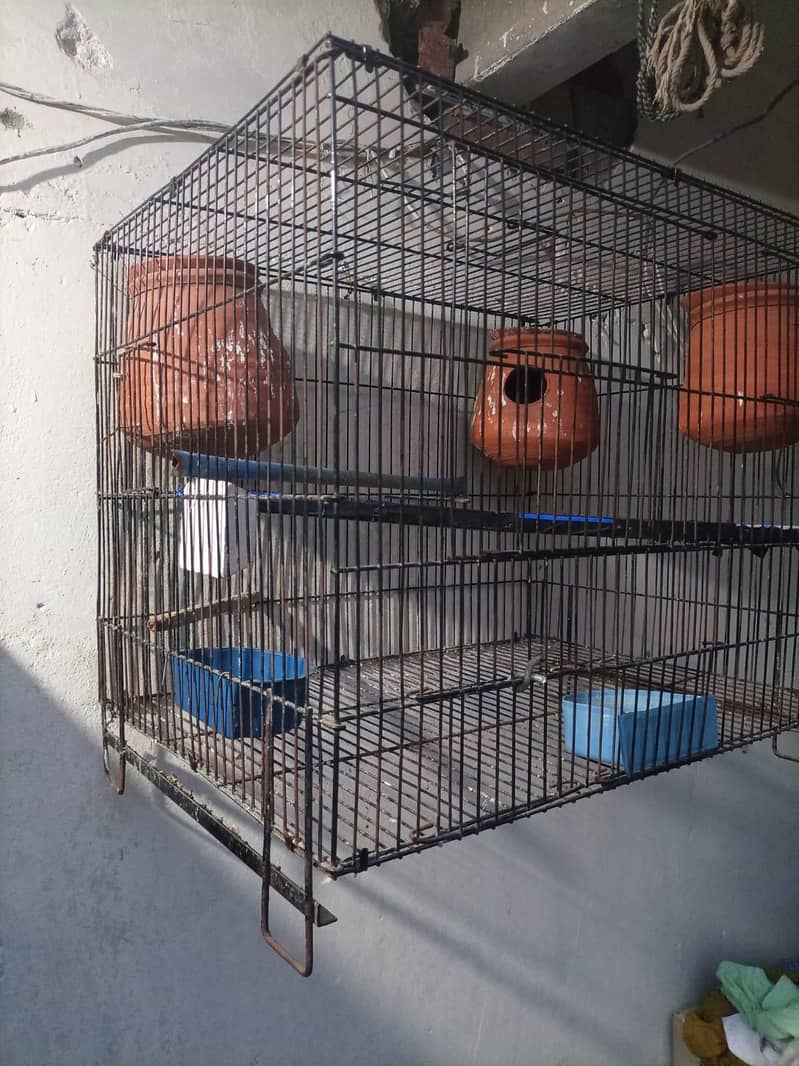 cages 1