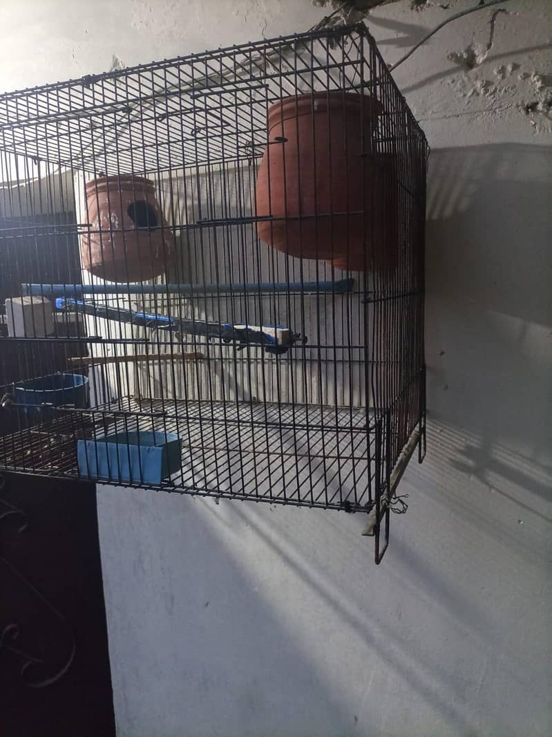 cages 2