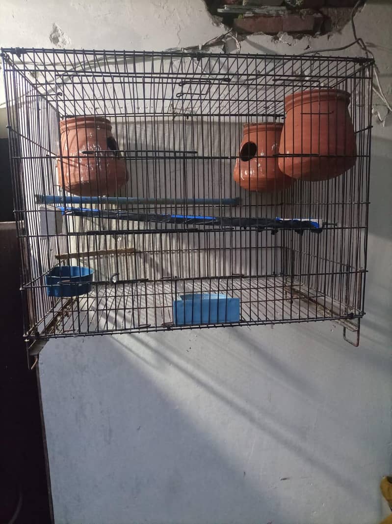 cages 3