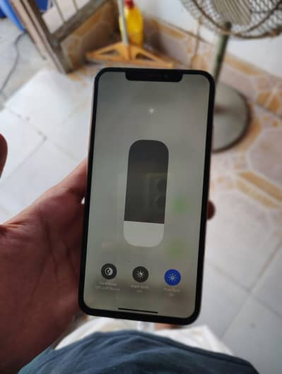 IPHONE XS MAX