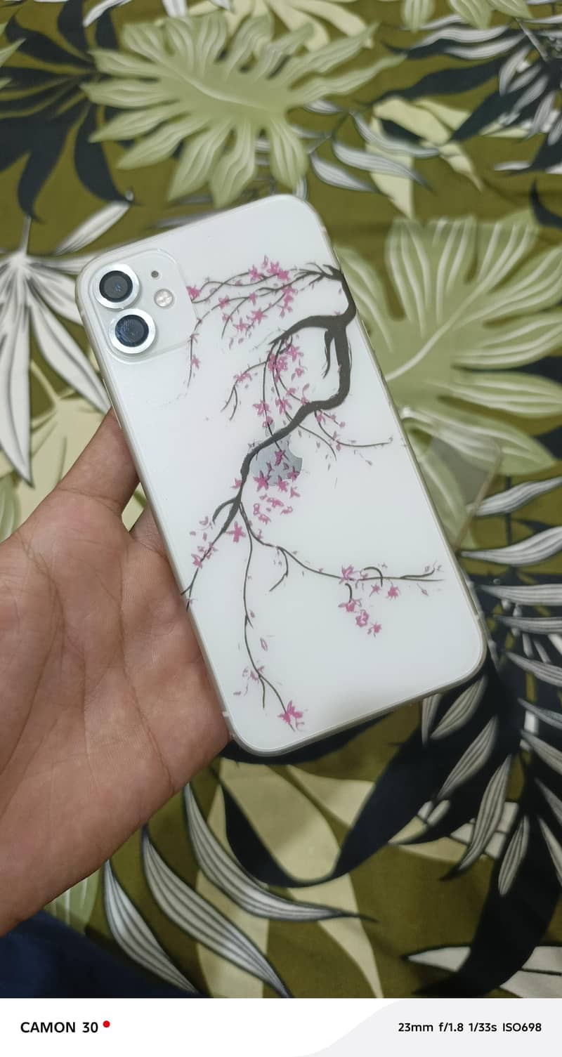 Apple iPhone 11 0
