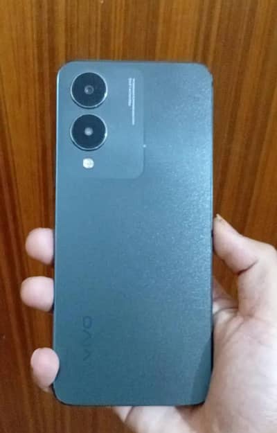 Vivo Y17