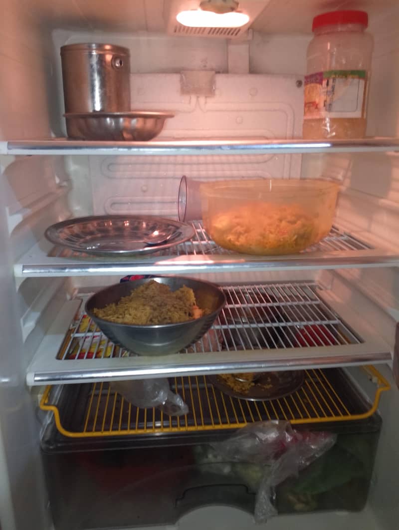 medium fridge 1
