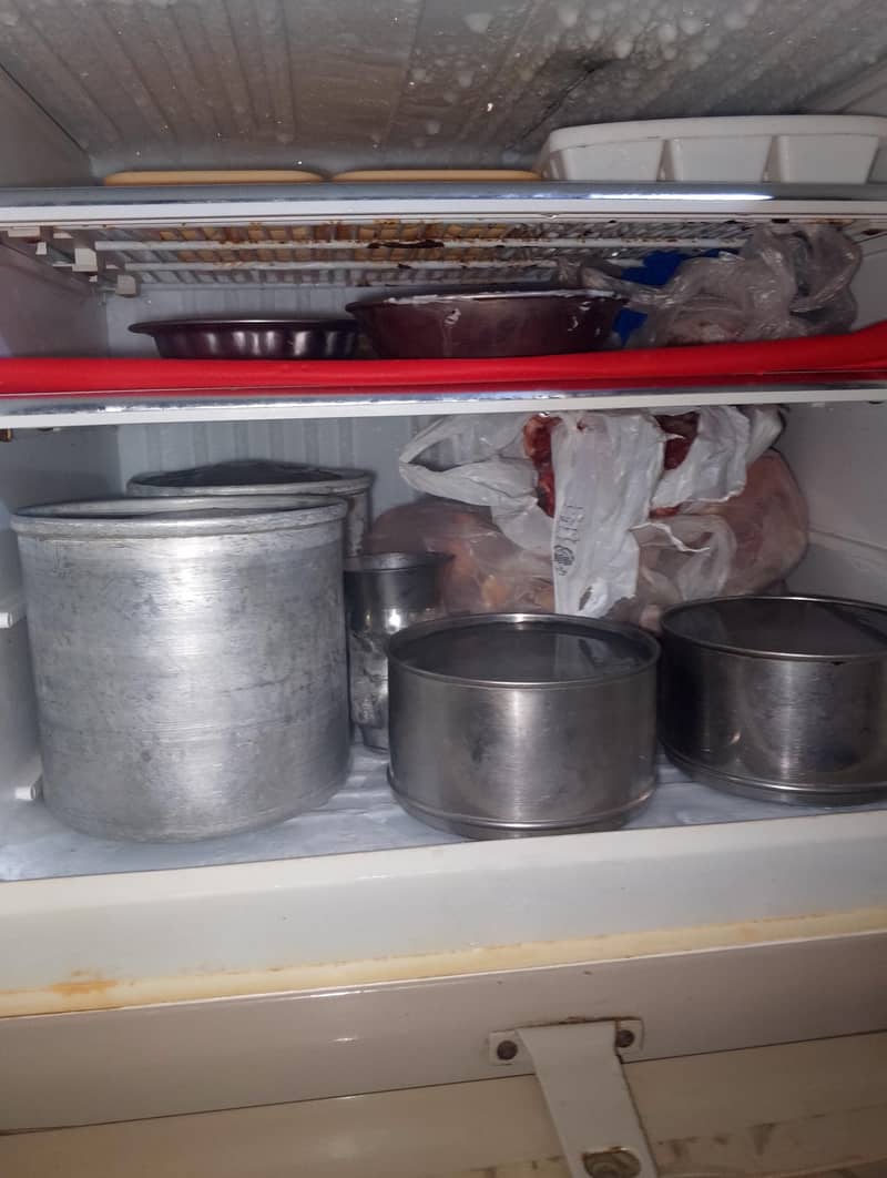medium fridge 3