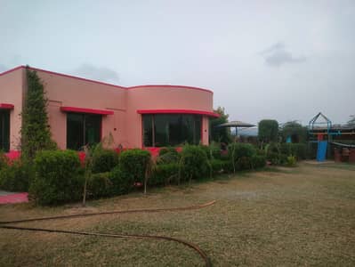 Make This Summer Unforgettable at Palm Village Farm House