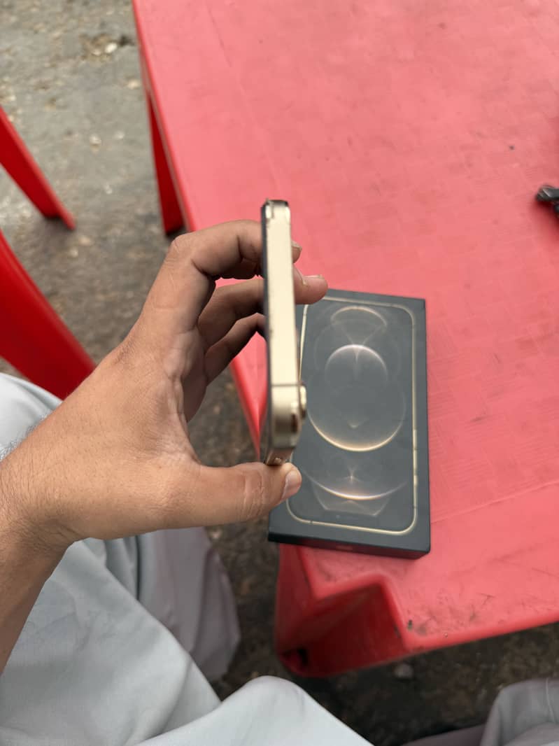 Apple iPhone 12 Pro Max 1