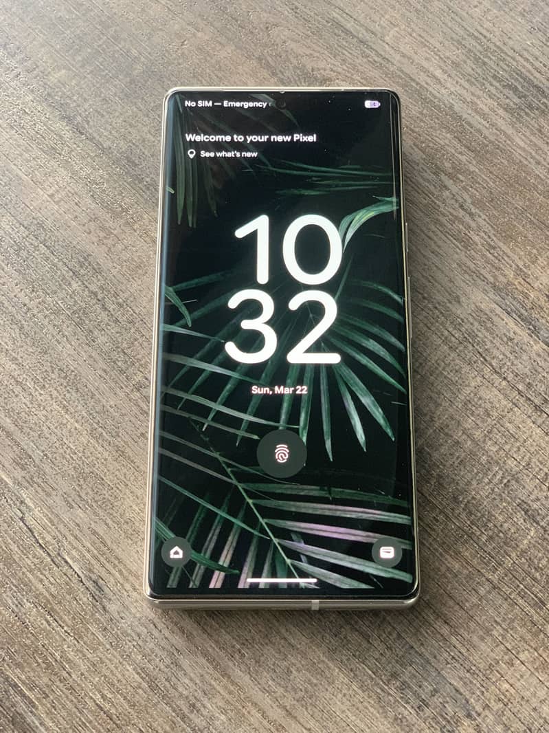 Google Pixel 6 Pro 0
