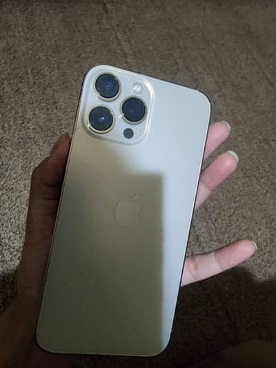 Apple iPhone 13 Pro Max