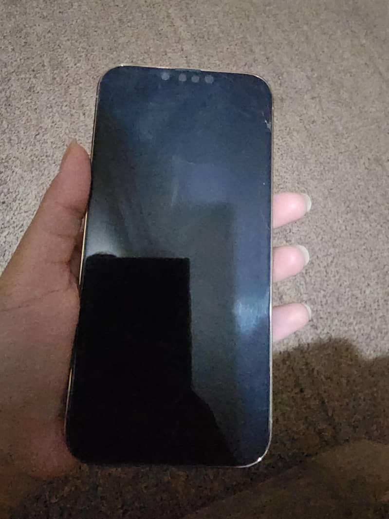 Apple iPhone 13 Pro Max 1