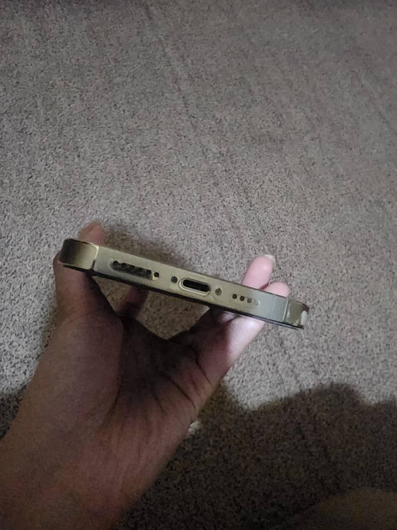 Apple iPhone 13 Pro Max 2