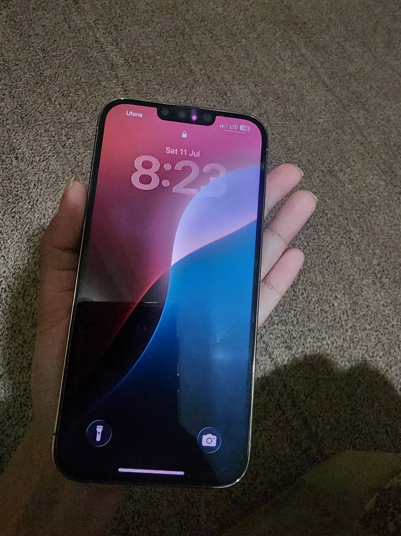 Apple iPhone 13 Pro Max 3