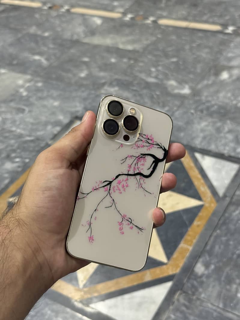 Apple iPhone 13 Pro 0