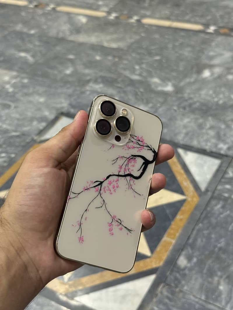 Apple iPhone 13 Pro 4