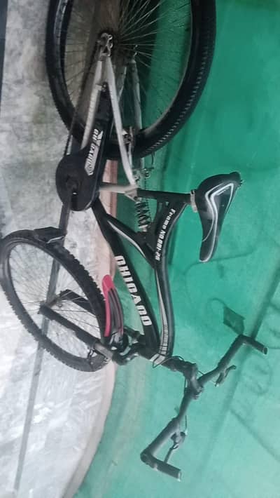 Cycle for sale