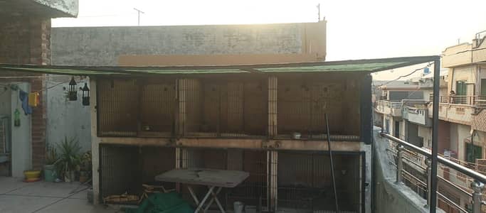 all setup forsale 03446897706