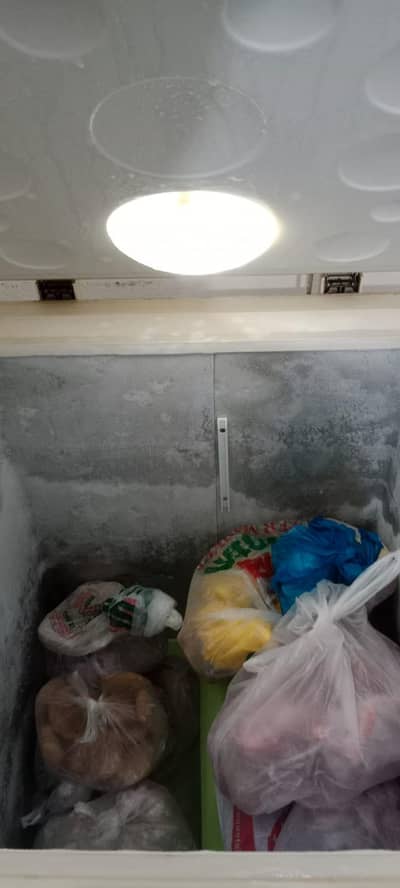 HAIER DEEP FREEZER