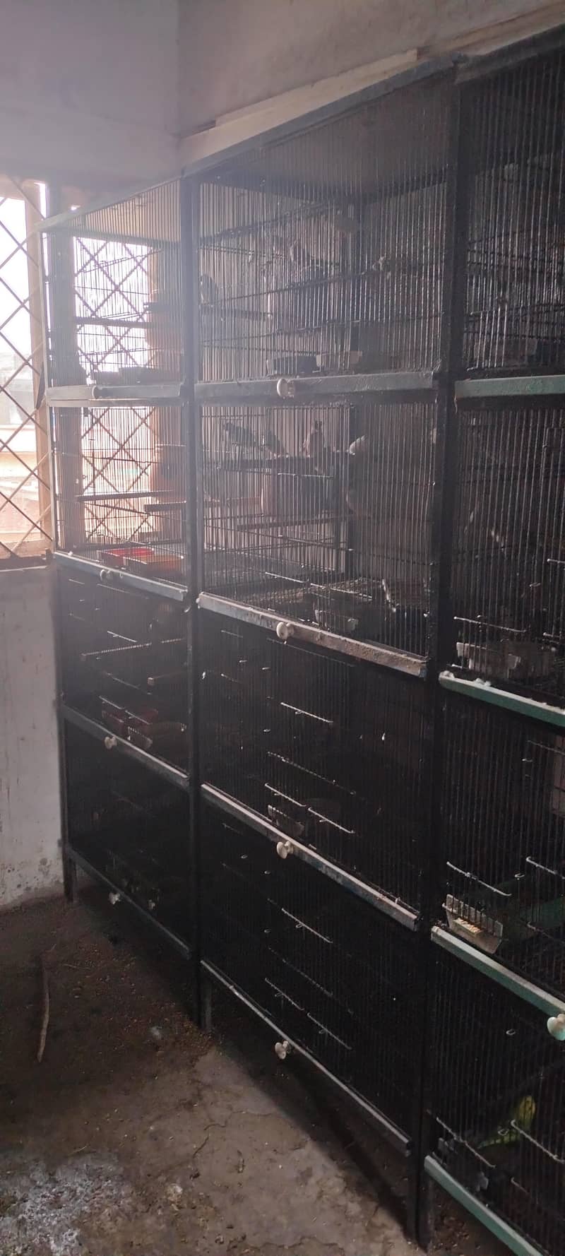 full iron cage 0