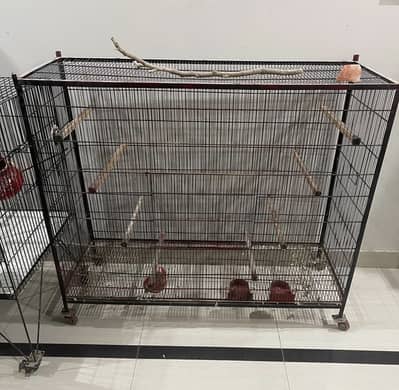 FLYING CAGE