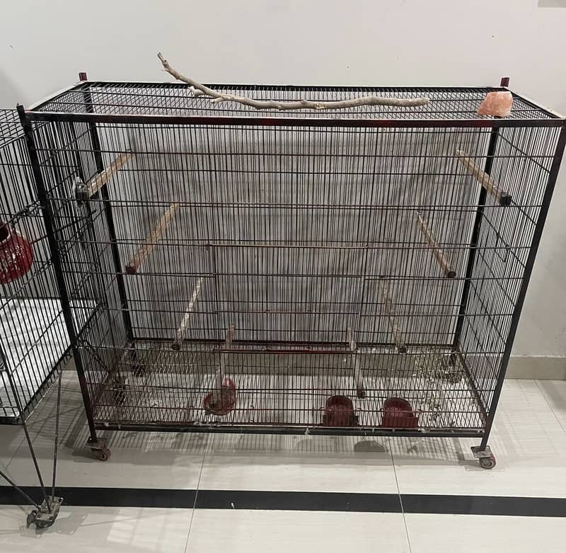 FLYING CAGE 0