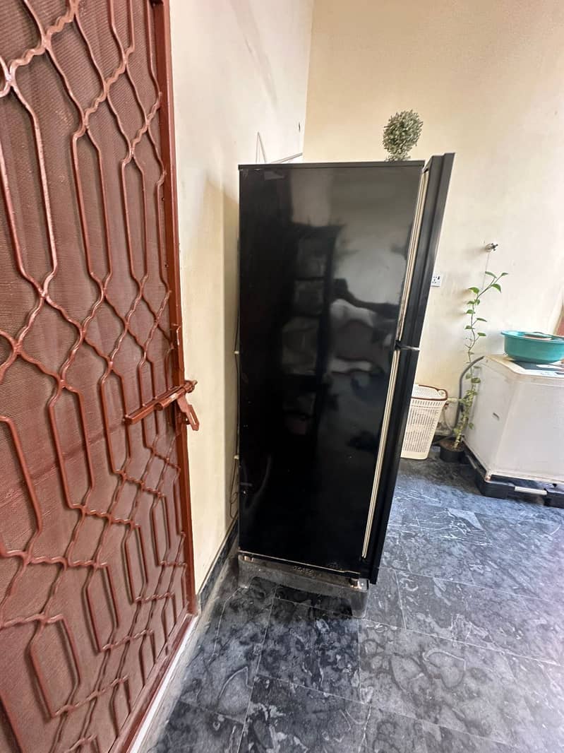 Pel refrigerator 2
