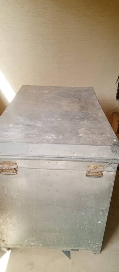 Patti/trunk